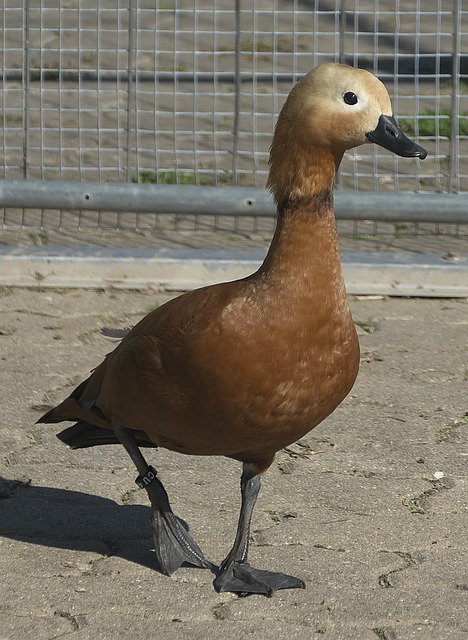 妙掌控