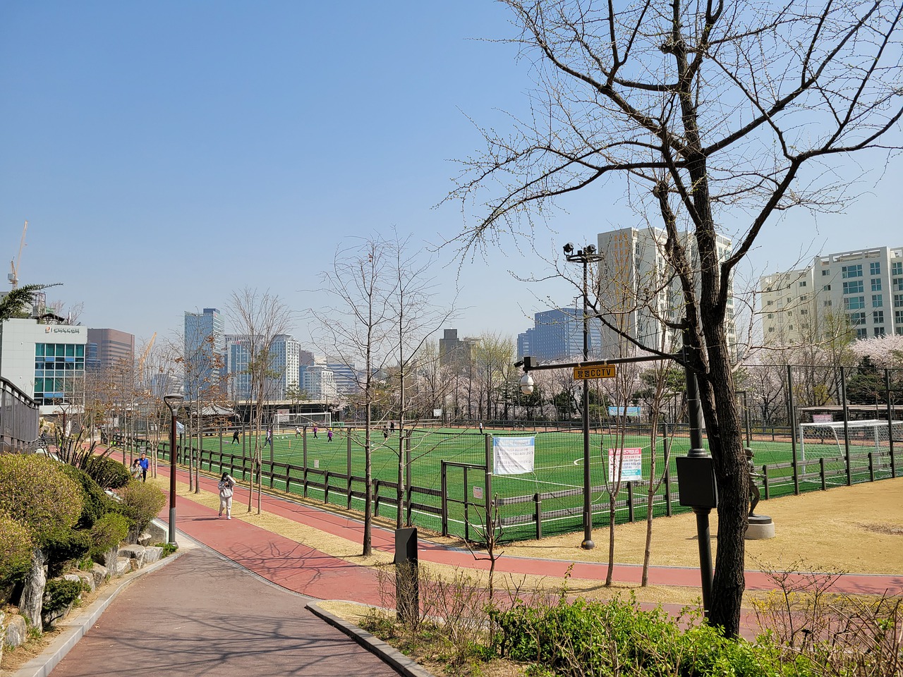 传统的棋牌 传统的棋牌